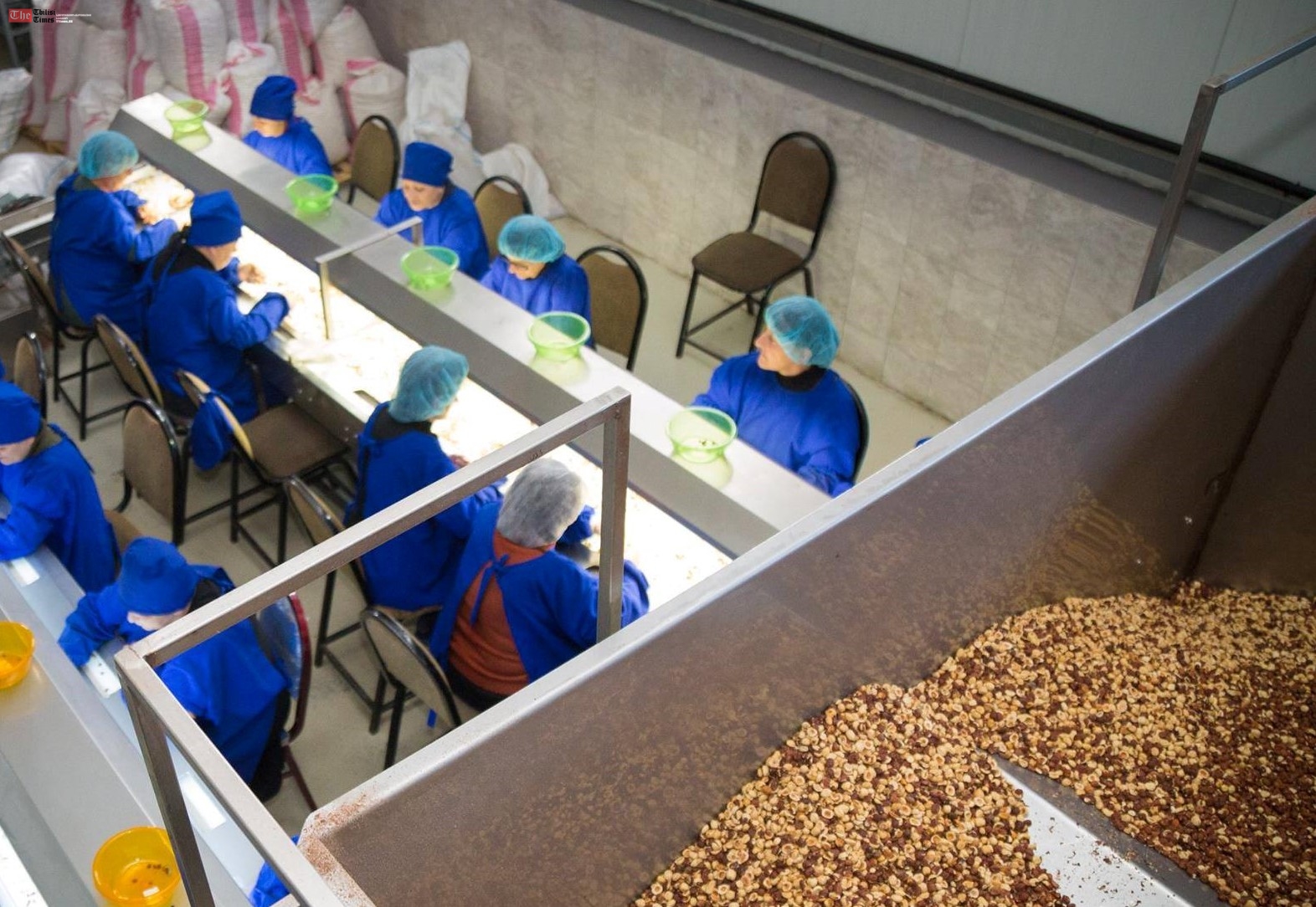 თხილის ექსპორტიორებისთვის 2018 წლიდან HACCP-ის სისტემის დანერგვა სავალდებულოა