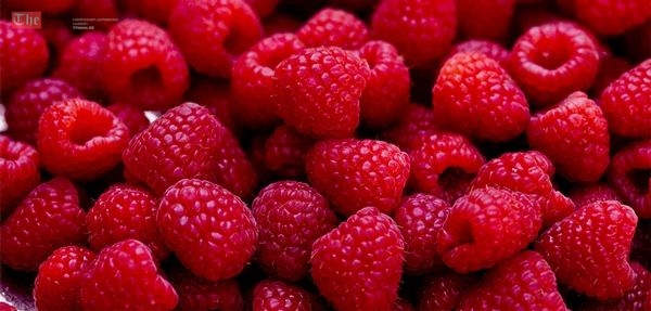 ქართული ჟოლო და მოცვი ექსპორტზე ჩინეთში გავა