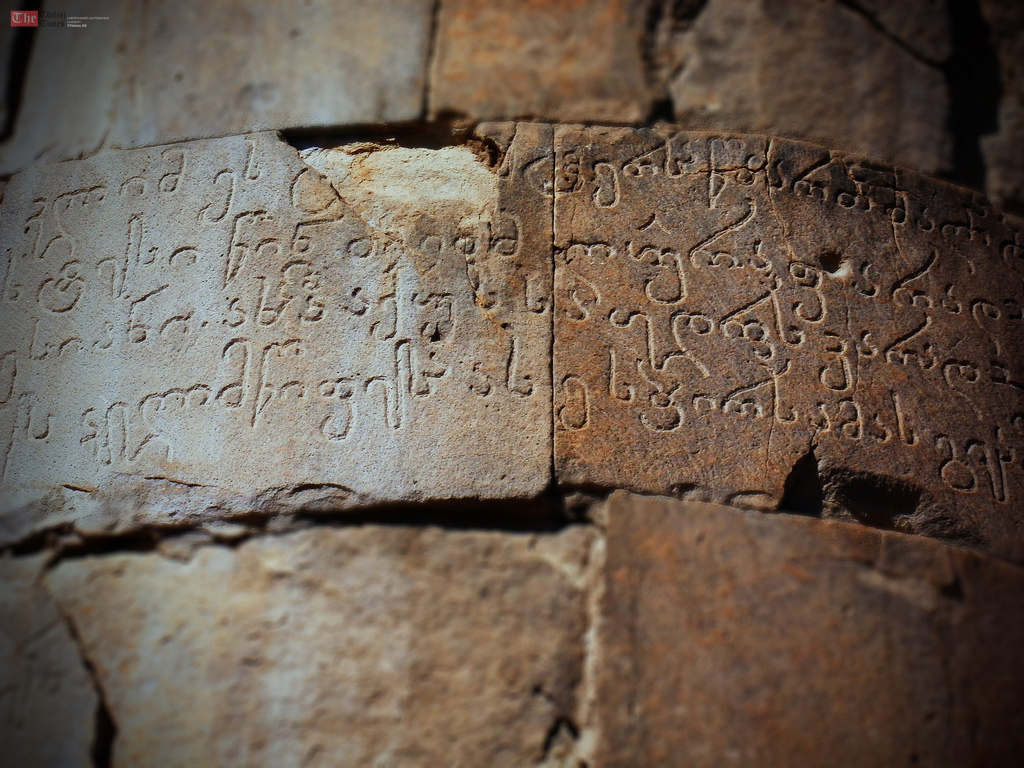 მე ვარ ენა მხცოვანი, მრავალწლოვანი