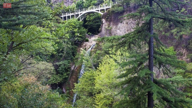 ბოტანიკურ ბაღსა და წავკისის წყლის ხეობაში ველობილიკი და საფეხმავლო გზა გაკეთდება