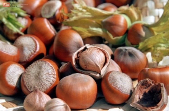 თხილის ექსპორტისთვის ახალი რეგულაციები ამოქმედდება