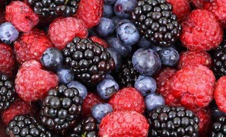 „დანერგე მომავალი“ კენკროვან კულტურებს დააფინანსებს