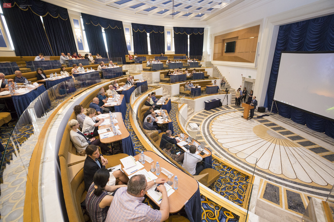 გორში თაფლის ახალი საწარმო შენდება