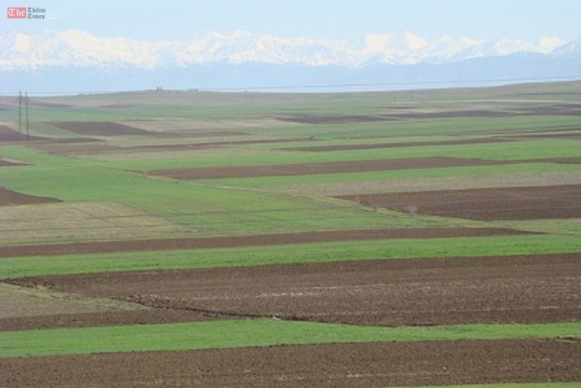 მიწის რეგისტრაციის შესახებ კანონის ვადა 2019 წლის 1 იანვრამდე გაგრძელდება