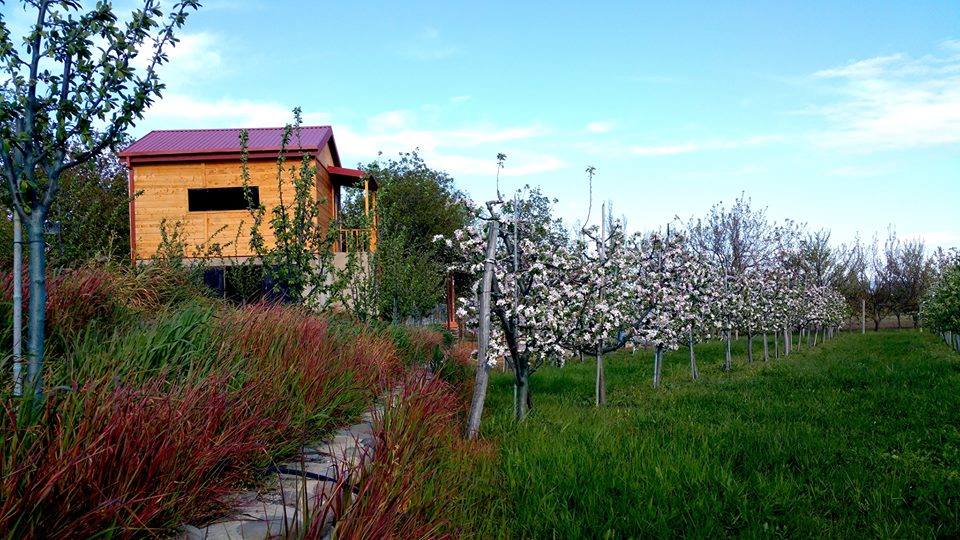 ბაღი ,,ევა” ჯანსაღი მომავლის კამპანიას იწყებს