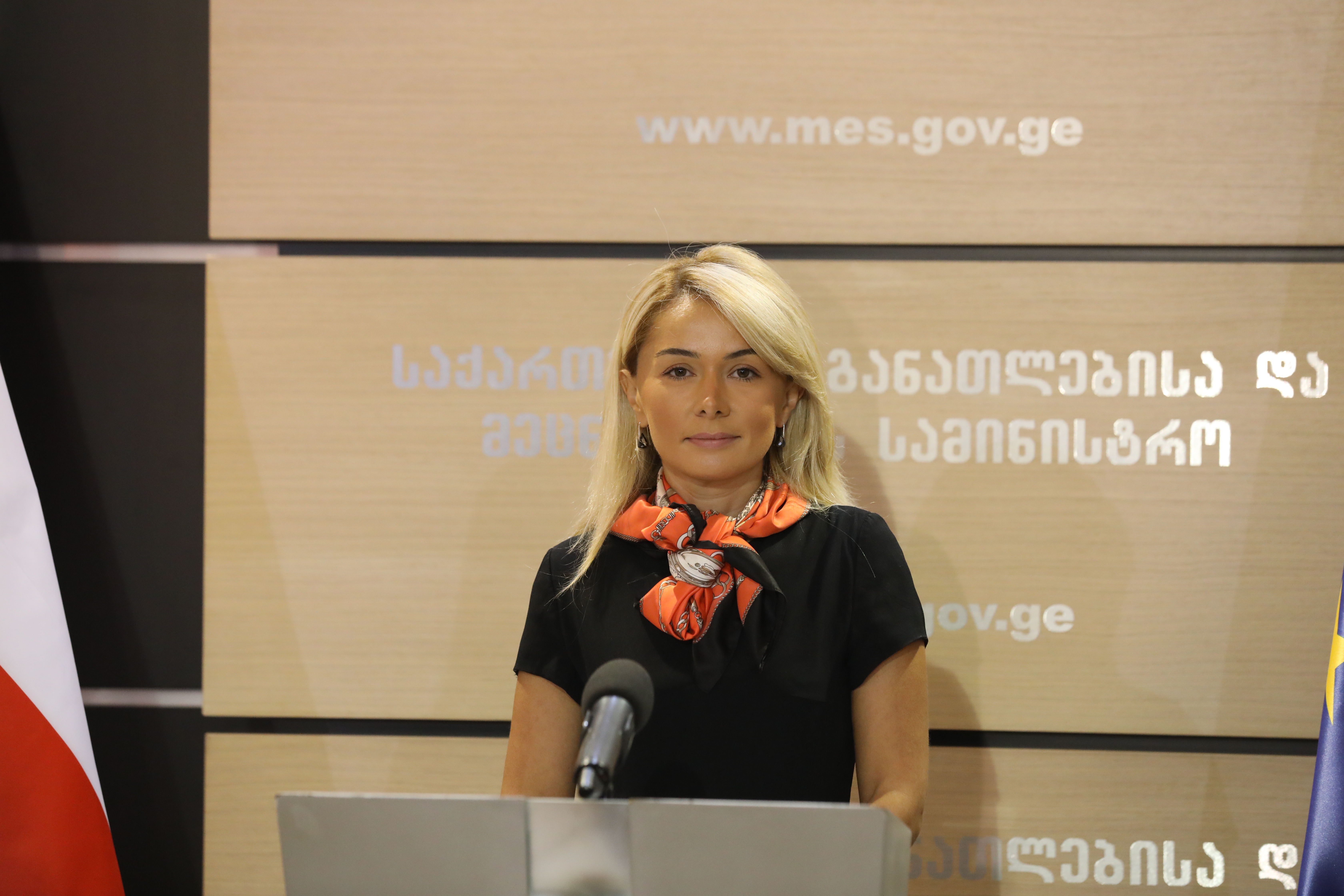 პროფესიულ პროგრამებზე მიღება იწყება