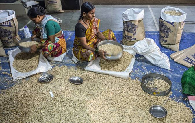 სექტემბერში FAO-ს სურსათის ფასების ინდექსი შემცირდა