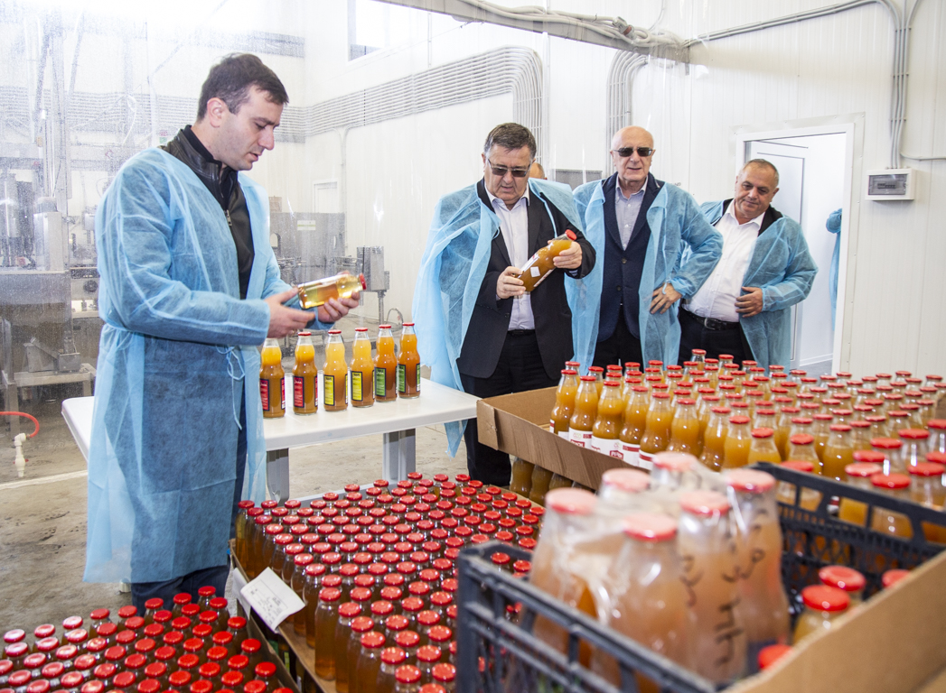 ვაშლის მოსავლის  აღება აქტიურ ფაზაში შედის