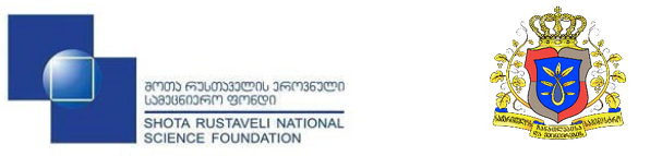 რუსთაველის საქართველოს ეროვნული სამეცნიერო ფონდის გენერალური დირექტორის თანამდებობა ზვიად გაბისონიამ დაიკავა