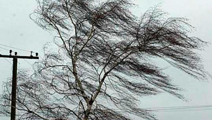 დღეს საქართველოს მთელ ტერიტორიაზე ძლიერი ქარია