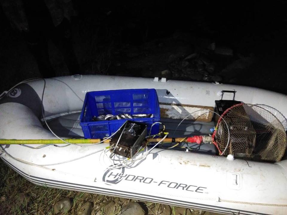 რუსთავში ელექტროშოკური აპარატის გამოყენებით უკანონო თევზჭერის ფაქტი გამოვლინდა