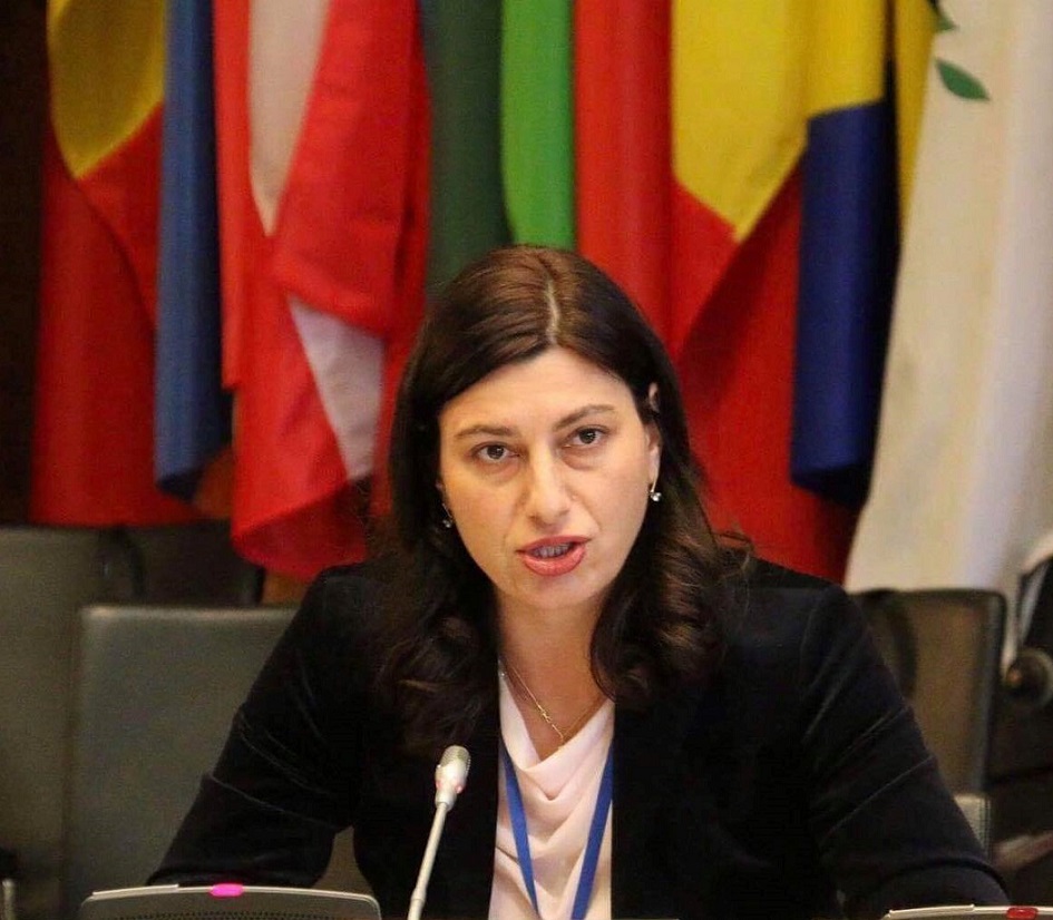 სოფიო ქაცარავა: „ასეთი მაღალი დონის კონფერენციები არის შესაძლებლობა, საქართველო თავისი მიღწევებით და გამოწვევებით საერთაშორისო დღის წესრიგში დავაყენოთ“