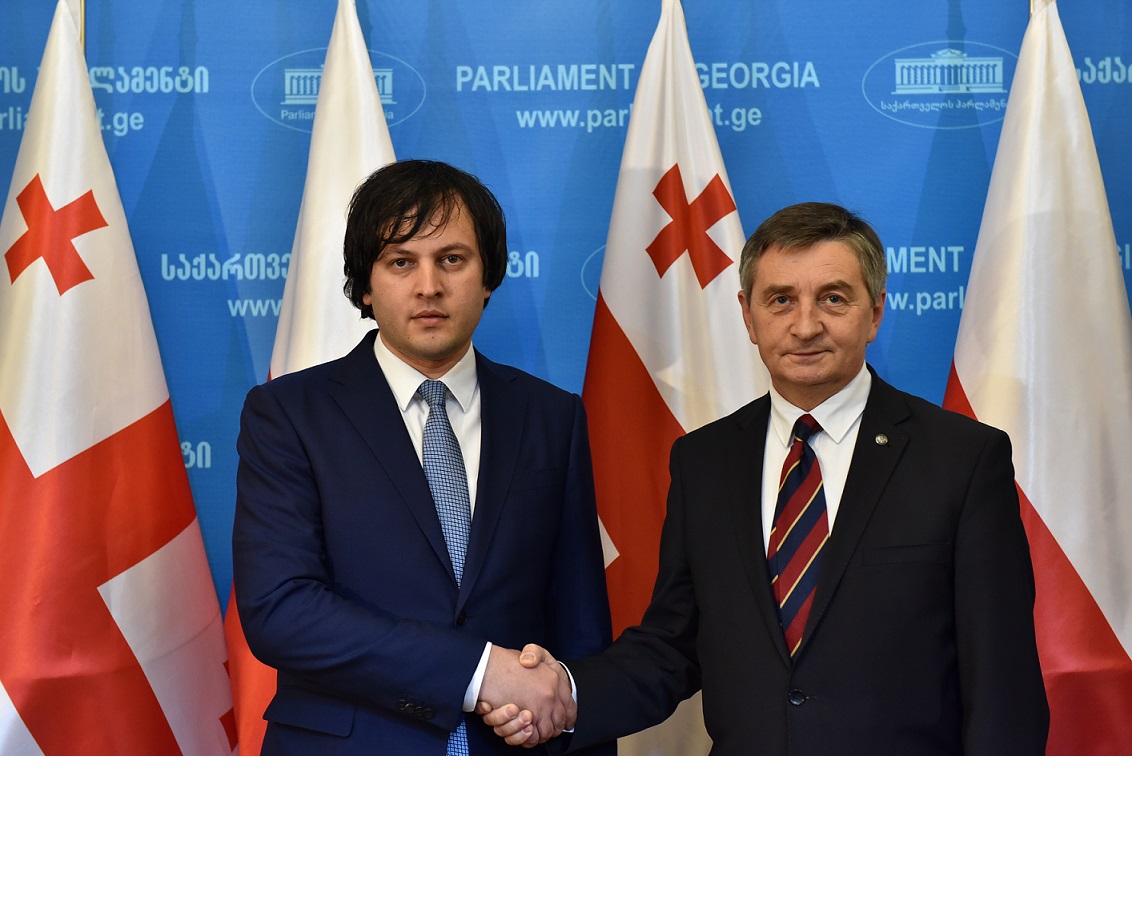 ირაკლი კობახიძე პოლონეთის რესპუბლიკის სეიმის მარშალს შეხვდა