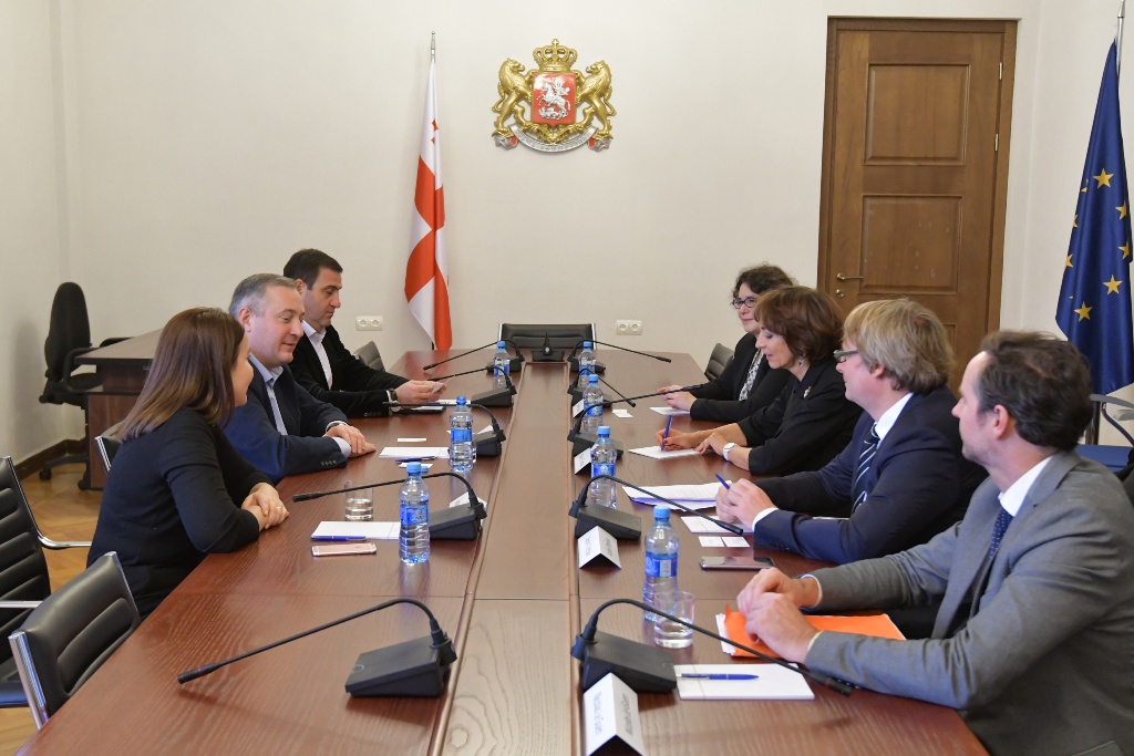 აკაკი ზოიძე საფრანგეთის მთავრობის სახელმწიფო მრჩეველს შეხვდა