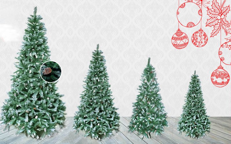 რა ფასად შეგვიძლია ნაძვის ხის შეძენა?