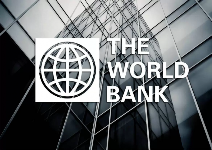 სოფლიო ბანკის ანგარიშის თანახმად, 2019 წელს საქართველოს ეკონომიკა 5%-მდე გაიზრდება