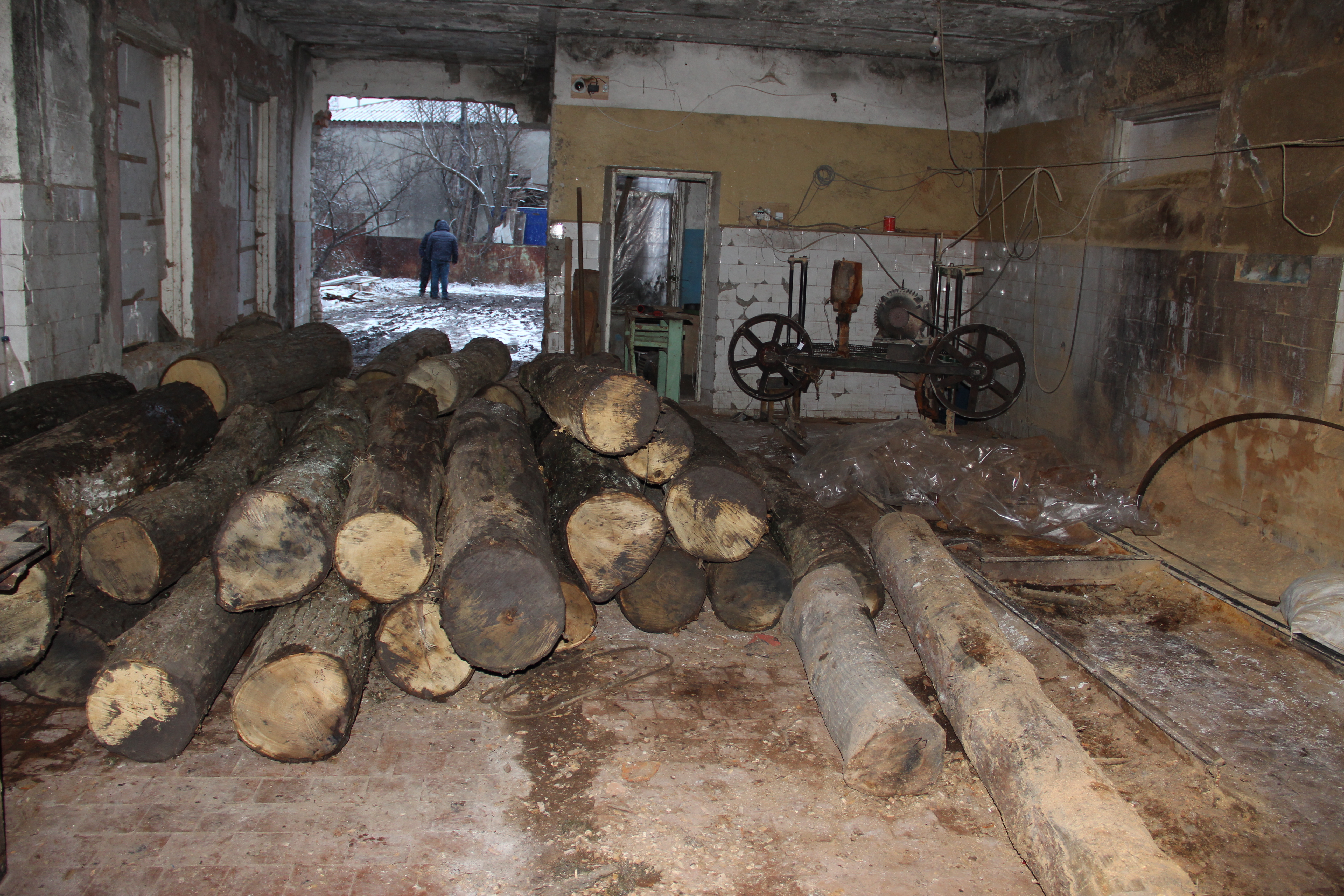 ხაშურში უკანონო სახერხი გამოვლინდა