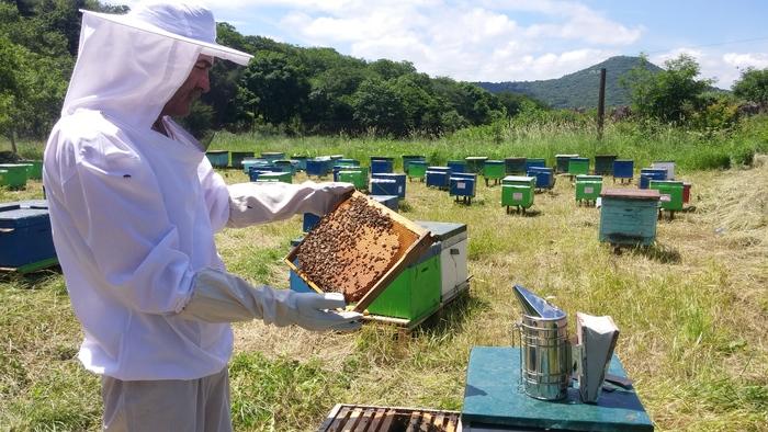„საქართველოს მეფუტკრეთა გაერთიანება“-რუსული წარმოების თაფლის შესაძლო შესყიდვამ, შესაძლოა, მიიღოს პროტესტის გამოხატვის უფრო ფართო მასშტაბები