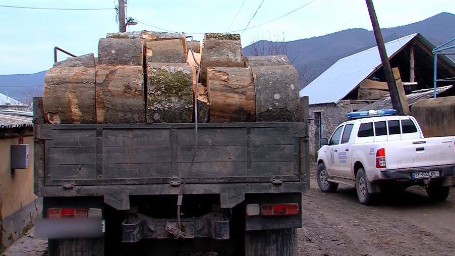 ბოლნისის მუნიციპალიტეტში ხე-ტყის უკანონო ტრანსპორტირების 4 ფაქტი გამოვლინდა