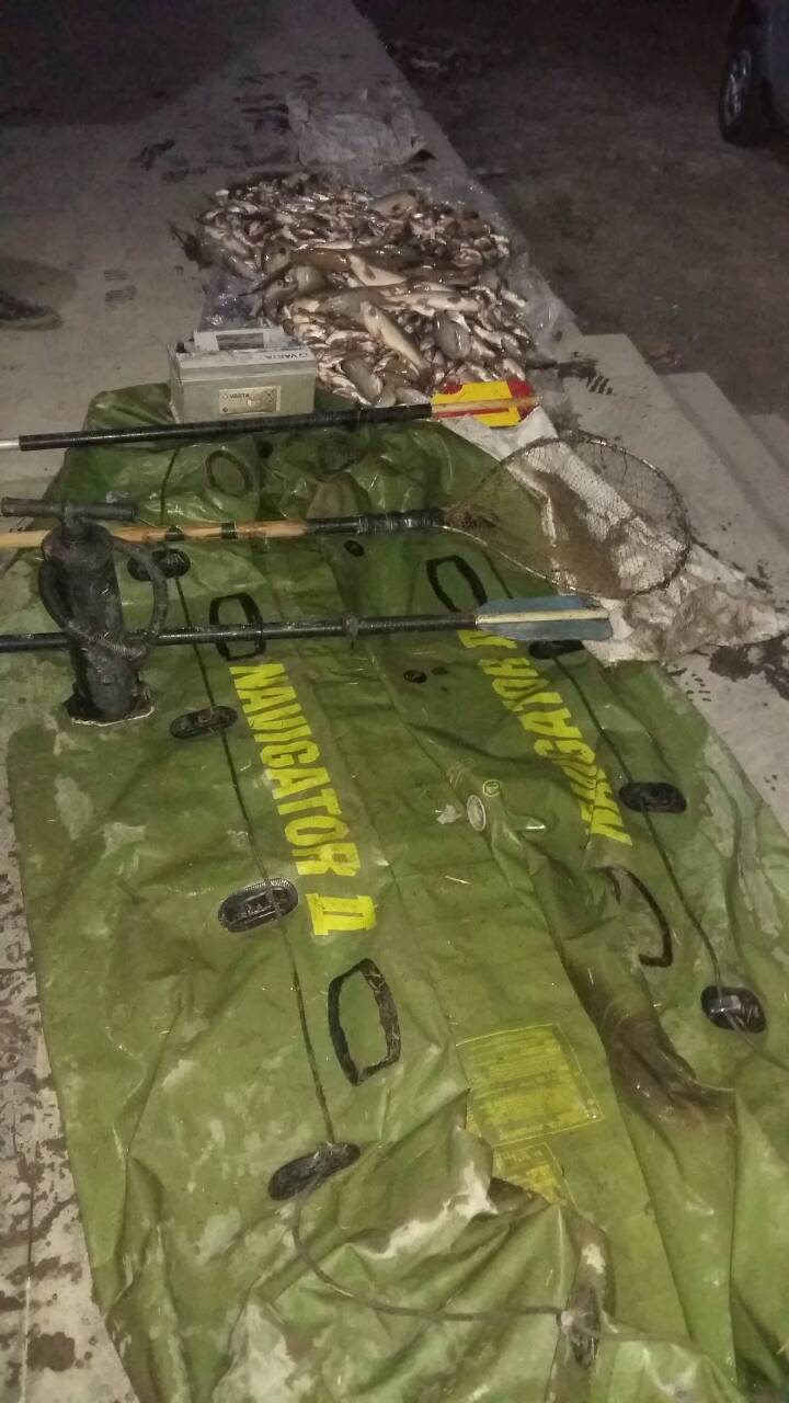 რუსთავში ელექტროშოკური აპარატის გამოყენებით, უკანონო თევზჭერის ფაქტი გამოვლინდა