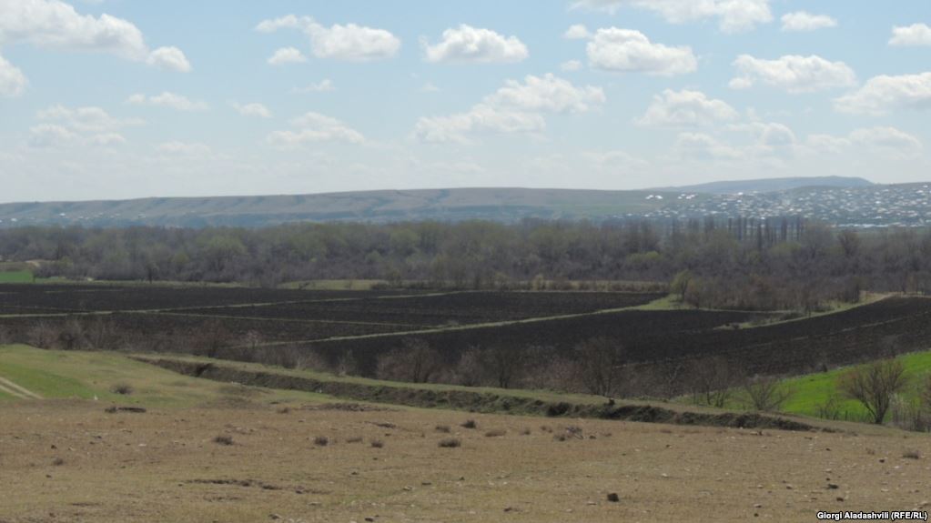 თბილისის მუნიციპალურმა ინსპექციამ მიწების უკანონოდ მითვისების ფაქტები გამოავლინა