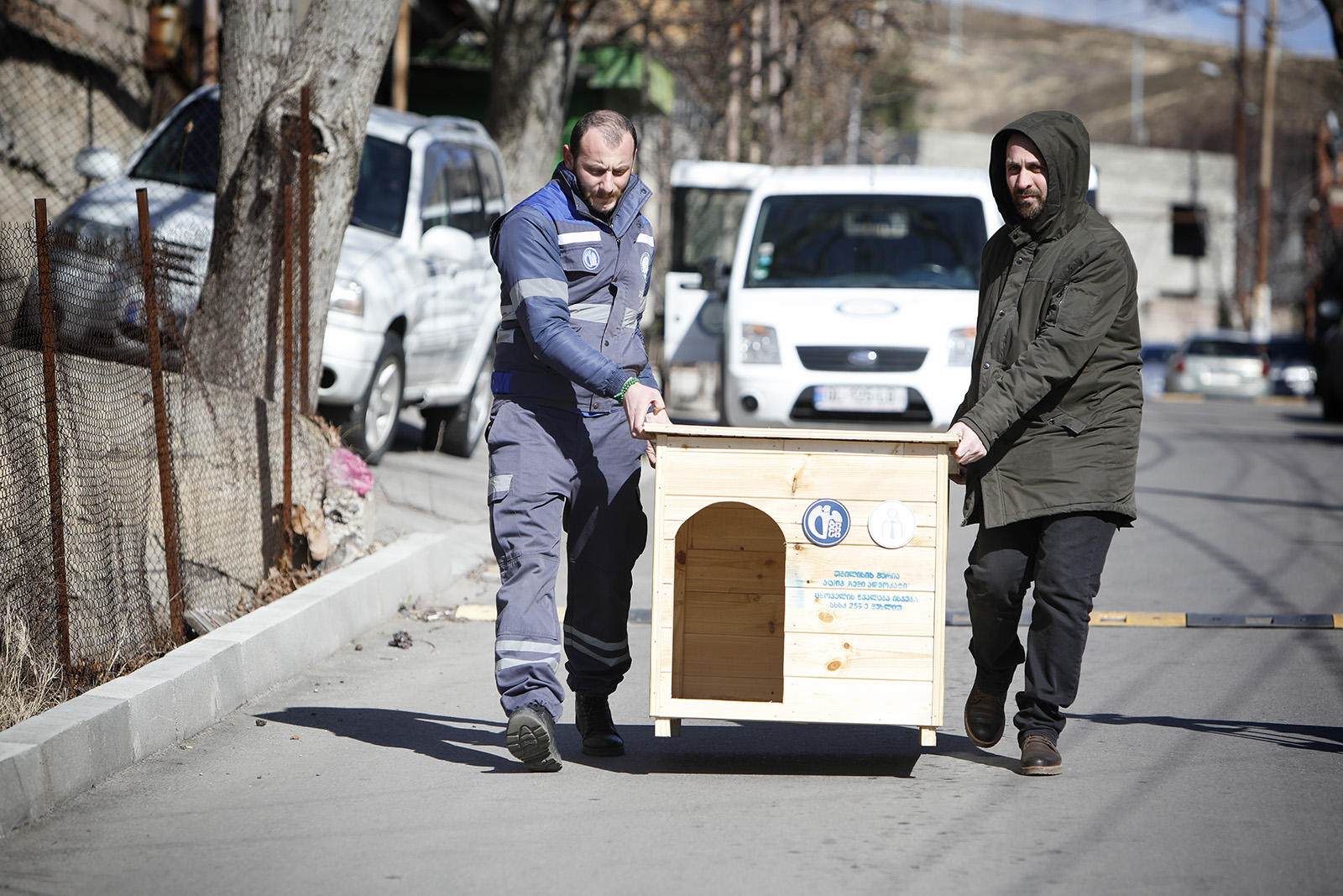 “ჩემი ადვოკატი“ მიუსაფარი ძაღლებისთვის ხის ათ სახლს დგამს