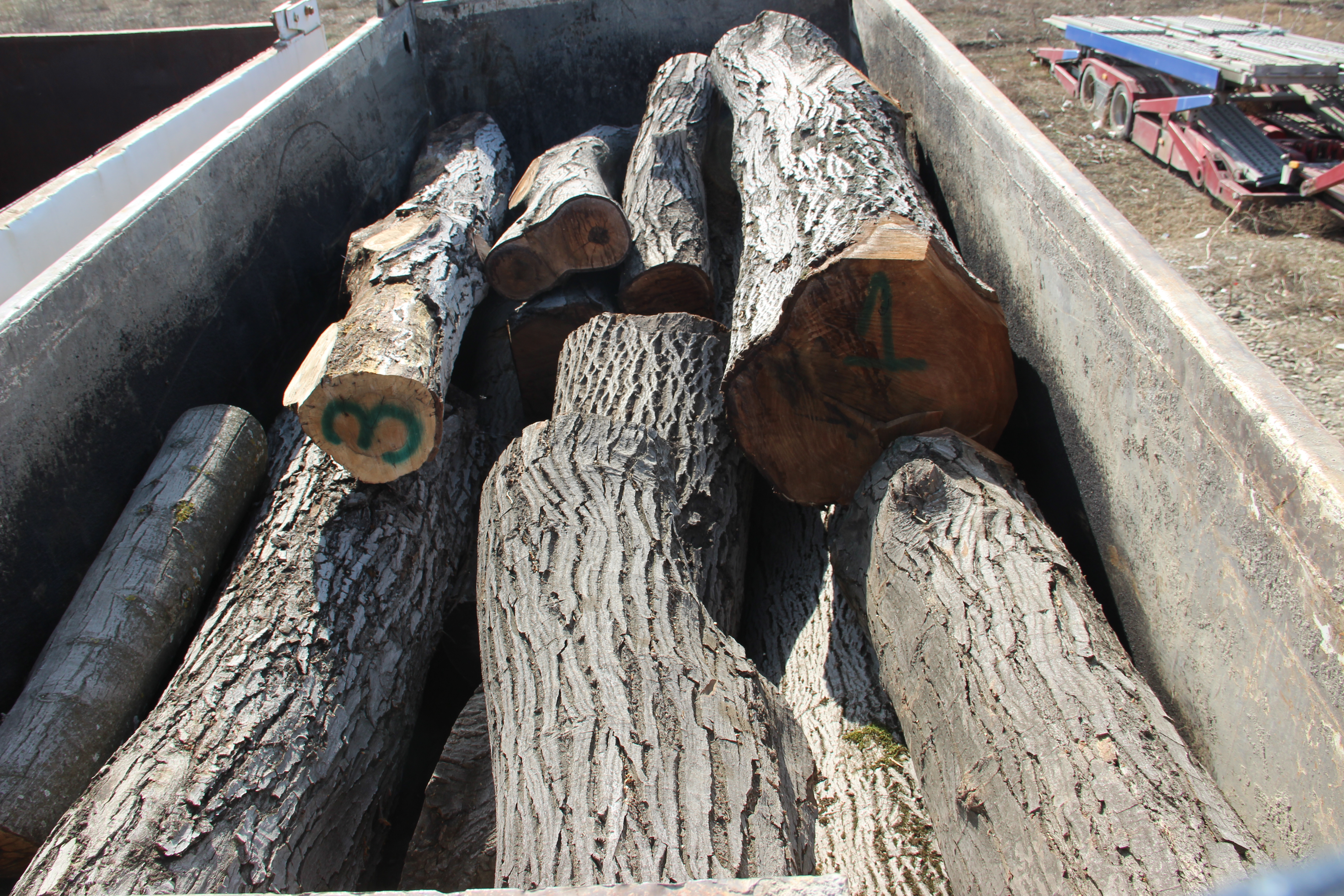 ქვემო ქართლში ხე-ტყის უკანონო ტრანსპორტირების ფაქტი გამოვლინდა