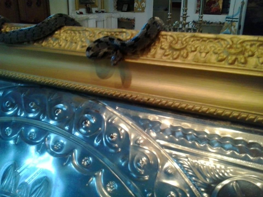 სასწაული კეფალონიაზე – ღვთისმშობლის ტაძრის უცნაური მომლოცველები