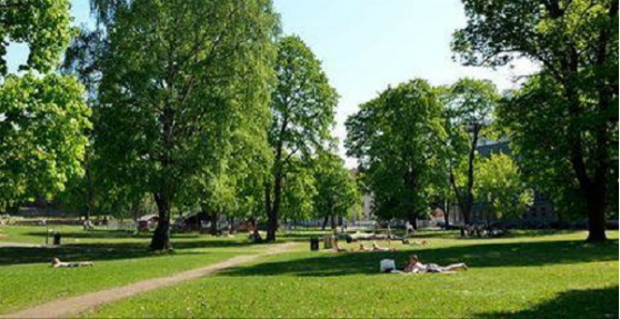 ზღვის უბნის მე-10 კვარტალში 5 000-მდე კვადრატულ მეტრ ფართობზე რეკრეაციული ზონა და სპორტული სივრცე მოეწყობა