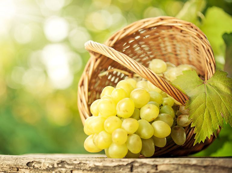 2018 წელს ყურძნის წარმოება 44.8 %-ით გაიზარდა