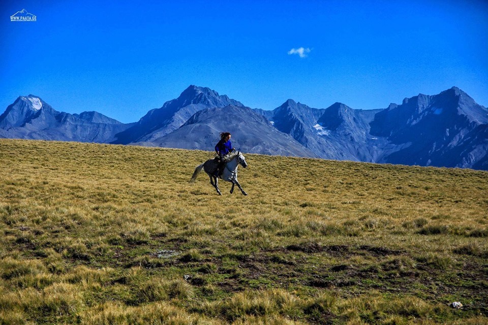 ბუნების სადარაჯოზე- პირველი რეინჯერი ქალის ისტორია
