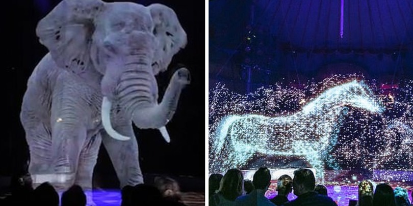 გერმანული ცირკი ცხოველების ნაცვლად ჰოლოგრამებს იყენებს