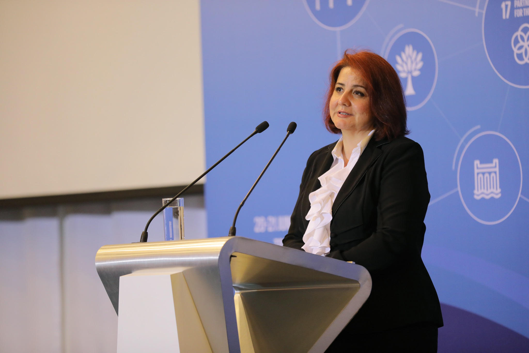 იეშიმ ელჰან-ქაიალარი – საქართველოს მიმზიდველობა პირდაპირი უცხოური ინვესტიციების კუთხით დღითიდღე იზრდება