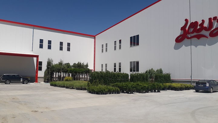 „კოკა-კოლას“ ოფისში, სეიფიდან 133 000 ლარი მოიპარეს, დაკავებულია ერთი პირი