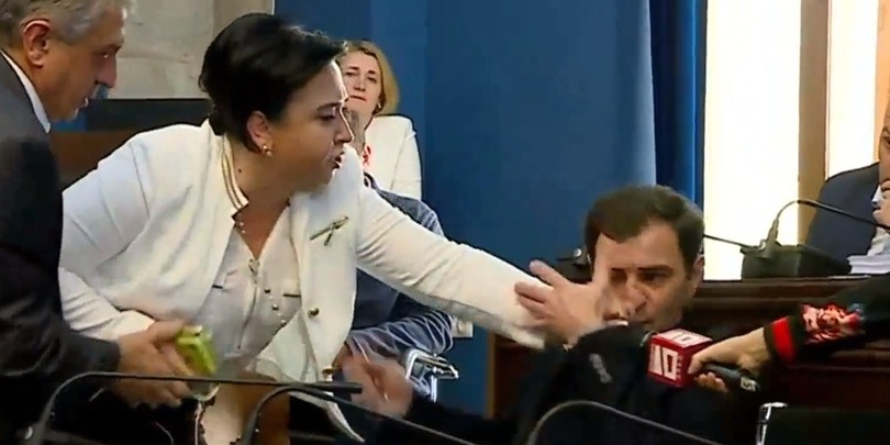 ეკა ბესელია ვანო ზარდიაშვილს ფიზიკურად დაუპირისპირდა