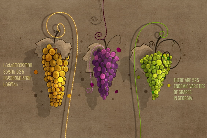 ქვევრის ღვინოზე ქართული ანიმაცია შეიქმნა