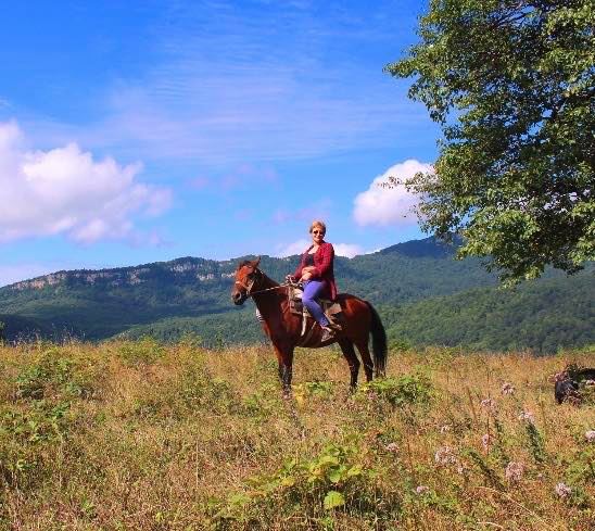 ,,წარმოვიდგენ, თუ როგორ სხედან ბანებზე ქალები და ქსოვენ, როგორ თამაშობენ ბავშვები ხის ხმლებით და ვგრძნობ და მინდა, რომ ასეთი დრო დაბრუნდეს შატილში, გაივსოს და გაძლიერდეს სოფელი“.