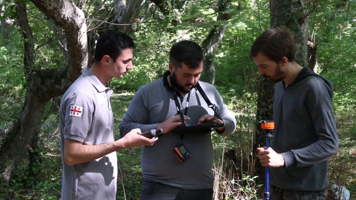 ახმეტაში ტყის ინვენტარიზაციის სამუშაოები მიმდინარეობს