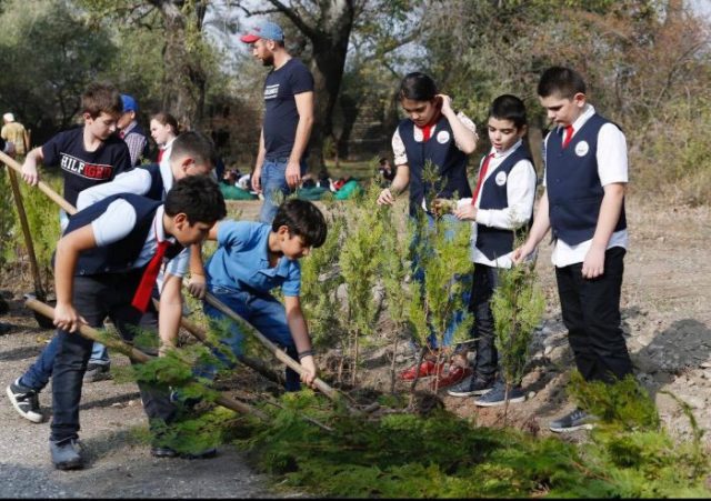 კრწანისის ტყეპარკში საქართველოს წითელი ნუსხისა და ტყისშემქნელი სახეობის ნერგებით ხეივანი გაშენდა