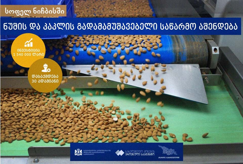 სოფელ ნიჩბისში ნუშისა და კაკლის გადამამუშავებელი საწარმო აშენდება