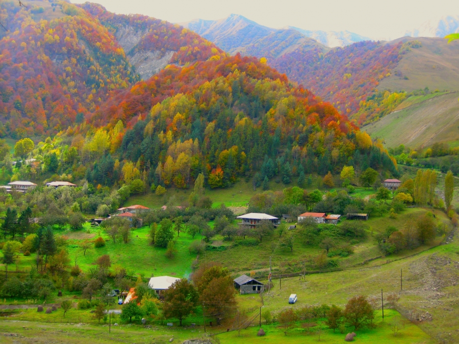 დევნილთა სააგენტო სოფლად სახლს კიდევ 401 დევნილი ოჯახისთვის შეიძენს