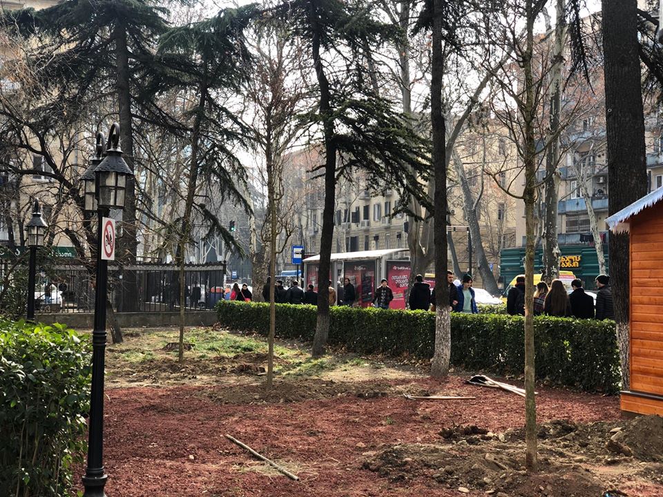 კოსტავას ქუჩაზე 150 მუხას რგავენ