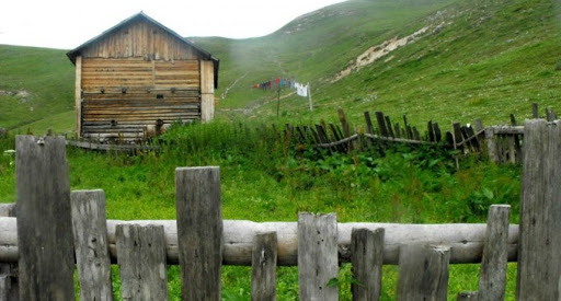 დევნილები, ეკომიგრანტები – რა საჭიროებები აქვთ და ვინ უზრუნველყოფს მათ