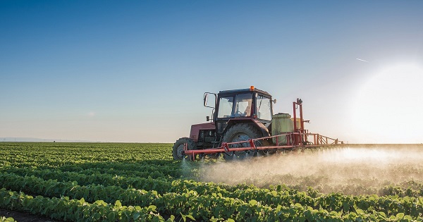 ფერმერებს მოსავალი უფუჭდებათ – რა ვითარებაა მარნეულში