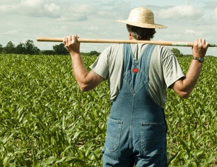 სოფელში დააბრუნებულები და პანდემია-ორი ამბავი