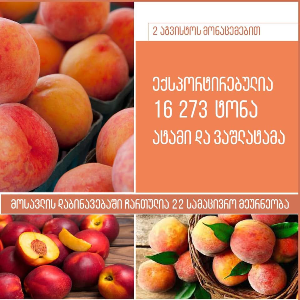 საქართველოდან ექსპორტზე 16 273 ტონა ატამი და ვაშლატამა გავიდა