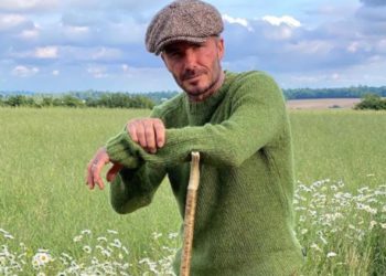 ფეხბურთელობიდან მეფუტკრეობამდე – დევიდ ბეკჰემი ნატურალური თაფლის გაყიდვას იწყებს