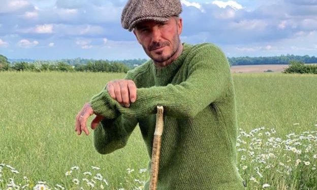 ფეხბურთელობიდან მეფუტკრეობამდე – დევიდ ბეკჰემი ნატურალური თაფლის გაყიდვას იწყებს