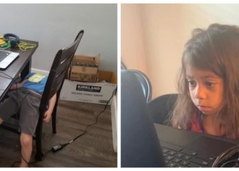 10 კომიკური ფოტო, რომელიც დისტანციური გაკვეთილების სირთულეებს ასახავს