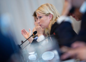 ჩვენი ეკონომიკა უკვე გაჯანსაღების გზას დაადგა – ნათია თურნავა